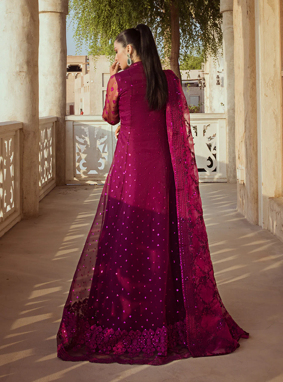 Ainaz - Image 4