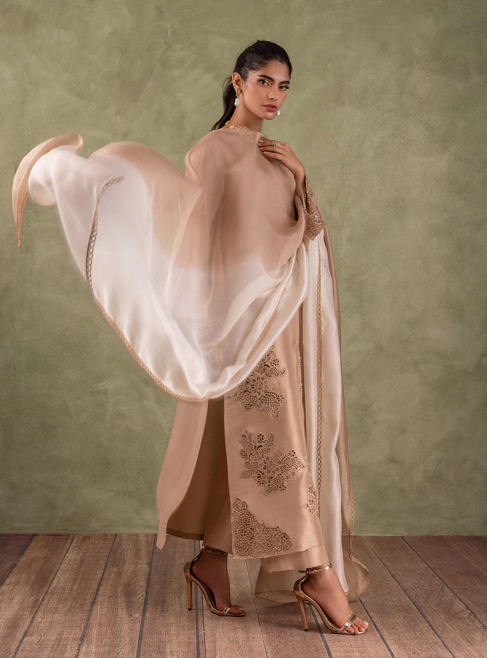 Coral Champagne - Image 4