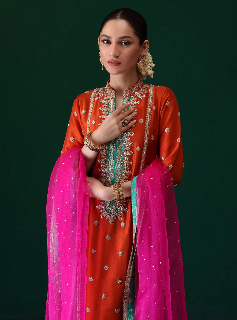 Gulnoor - Image 4
