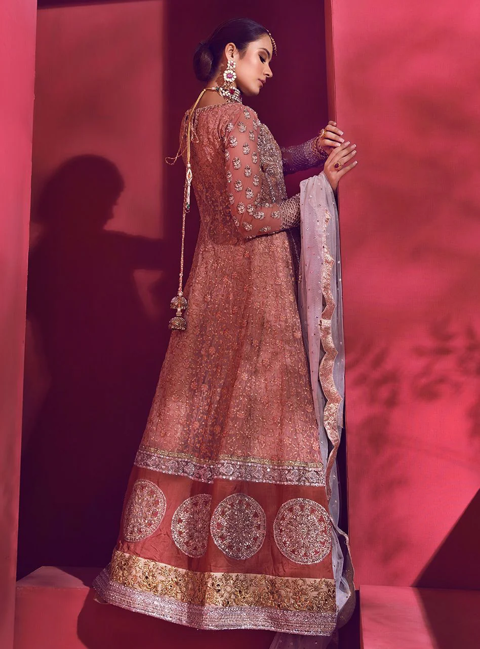 Latter Day Anarkali - Image 3