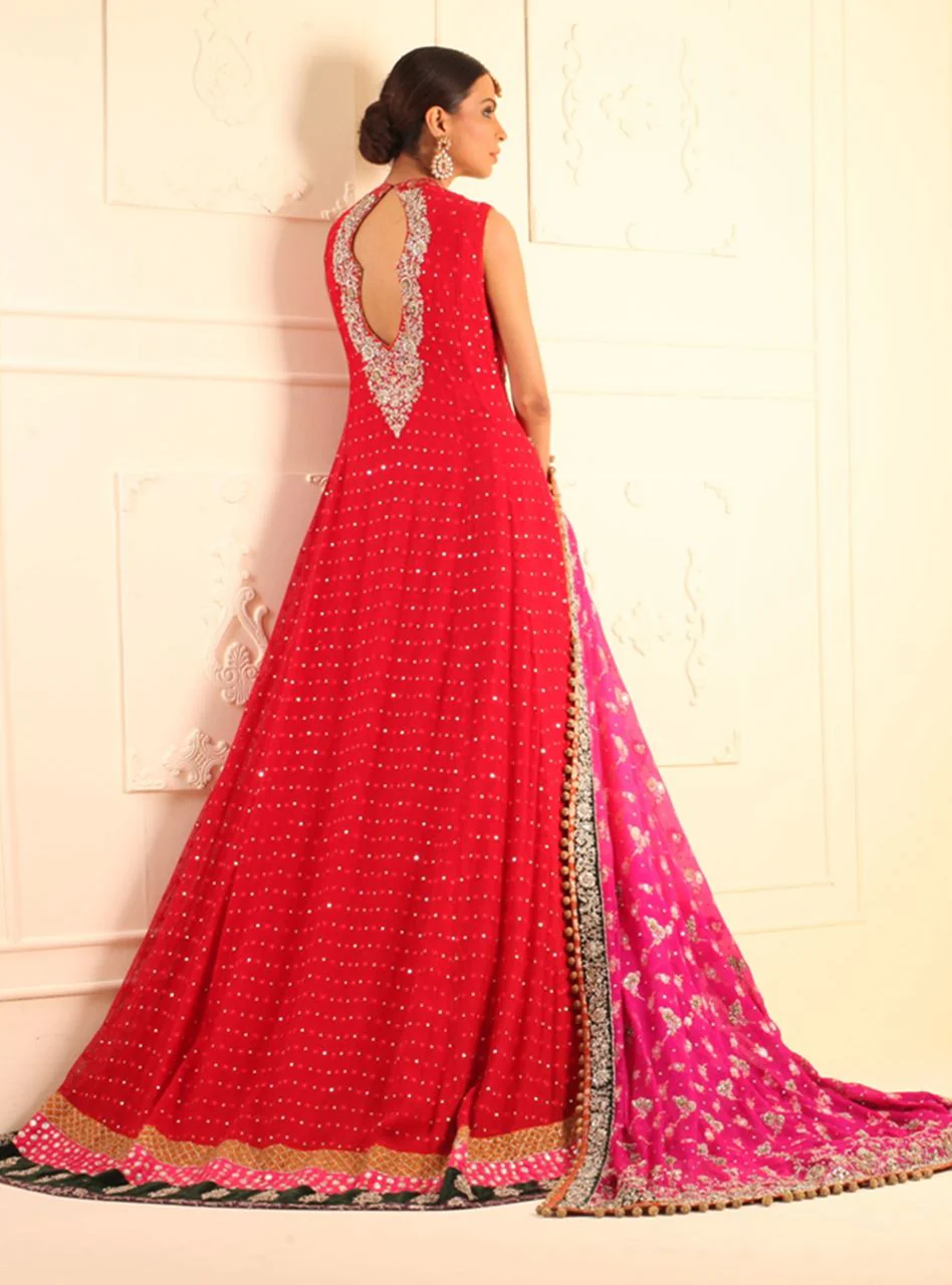 Long Red Mehsuri Net Paneled Dress - Image 3
