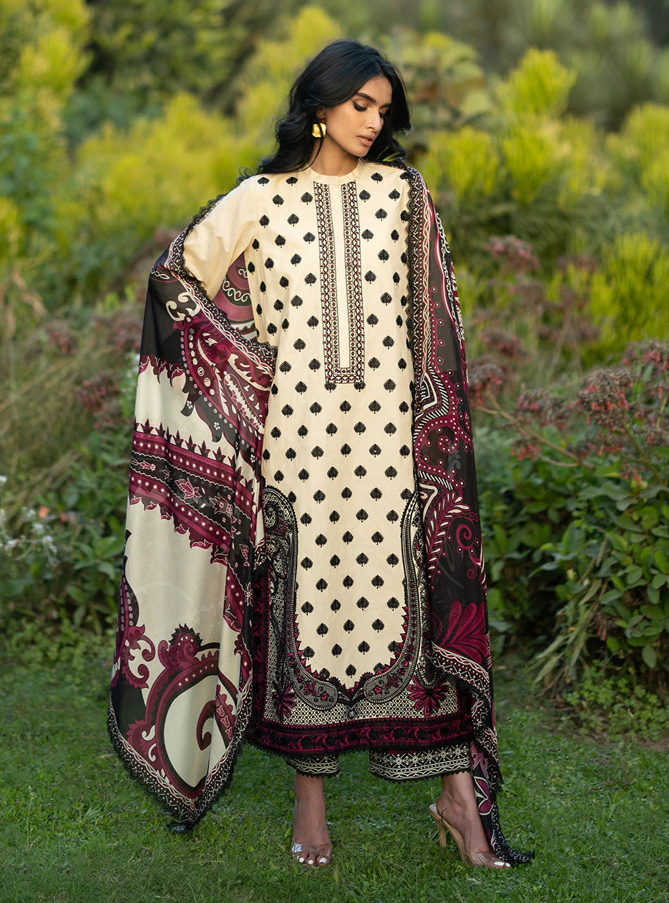 Nour - 09 - Image 4