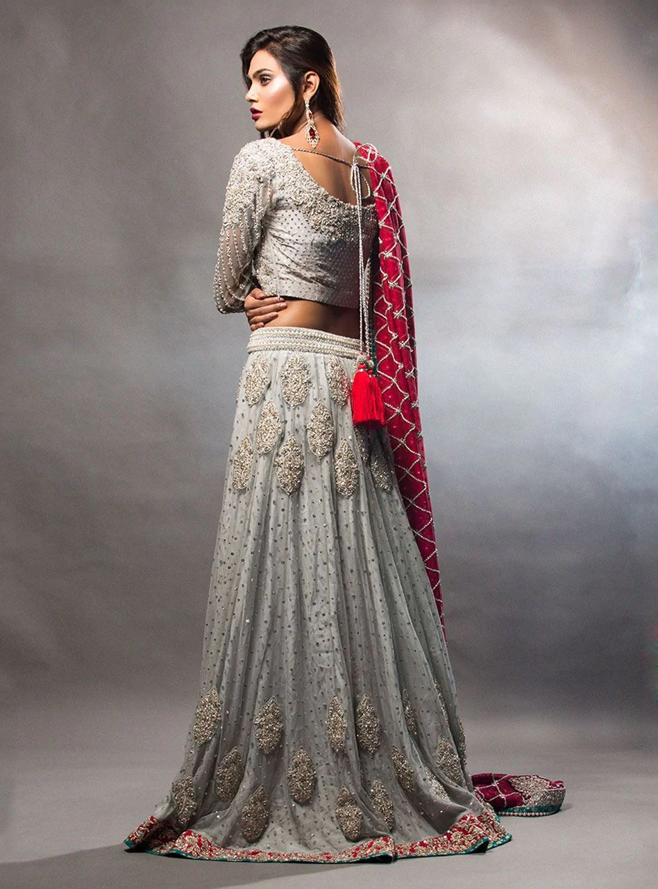 Grey Lehnga Choli With Red Dupatta - Image 3