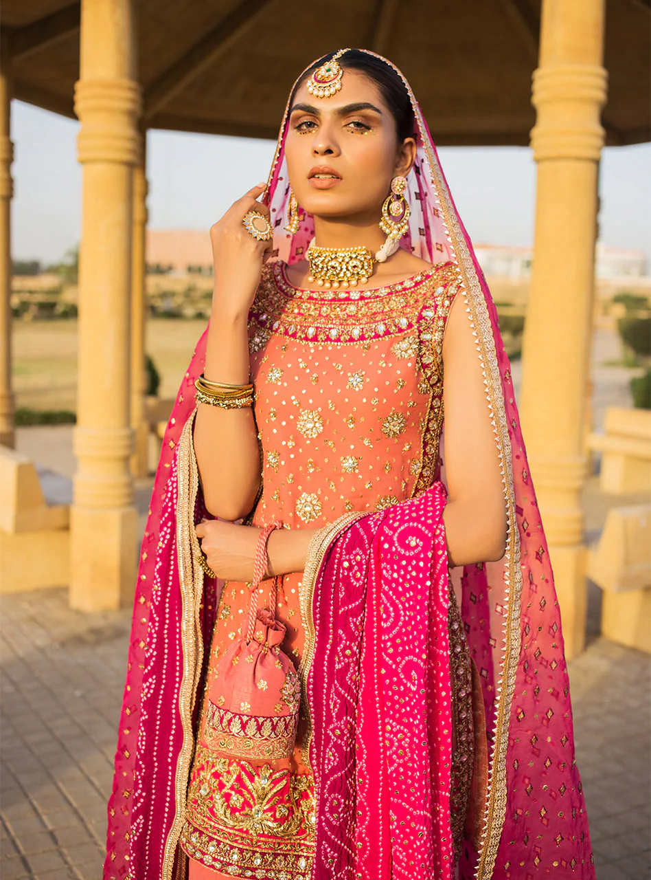 Roshni - Image 3