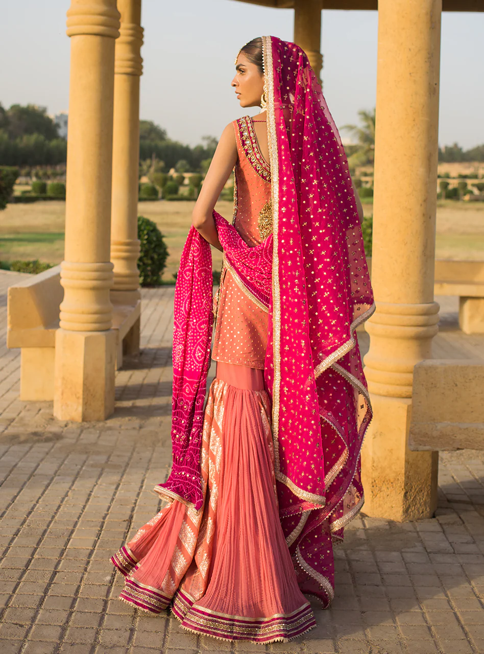 Roshni - Image 4