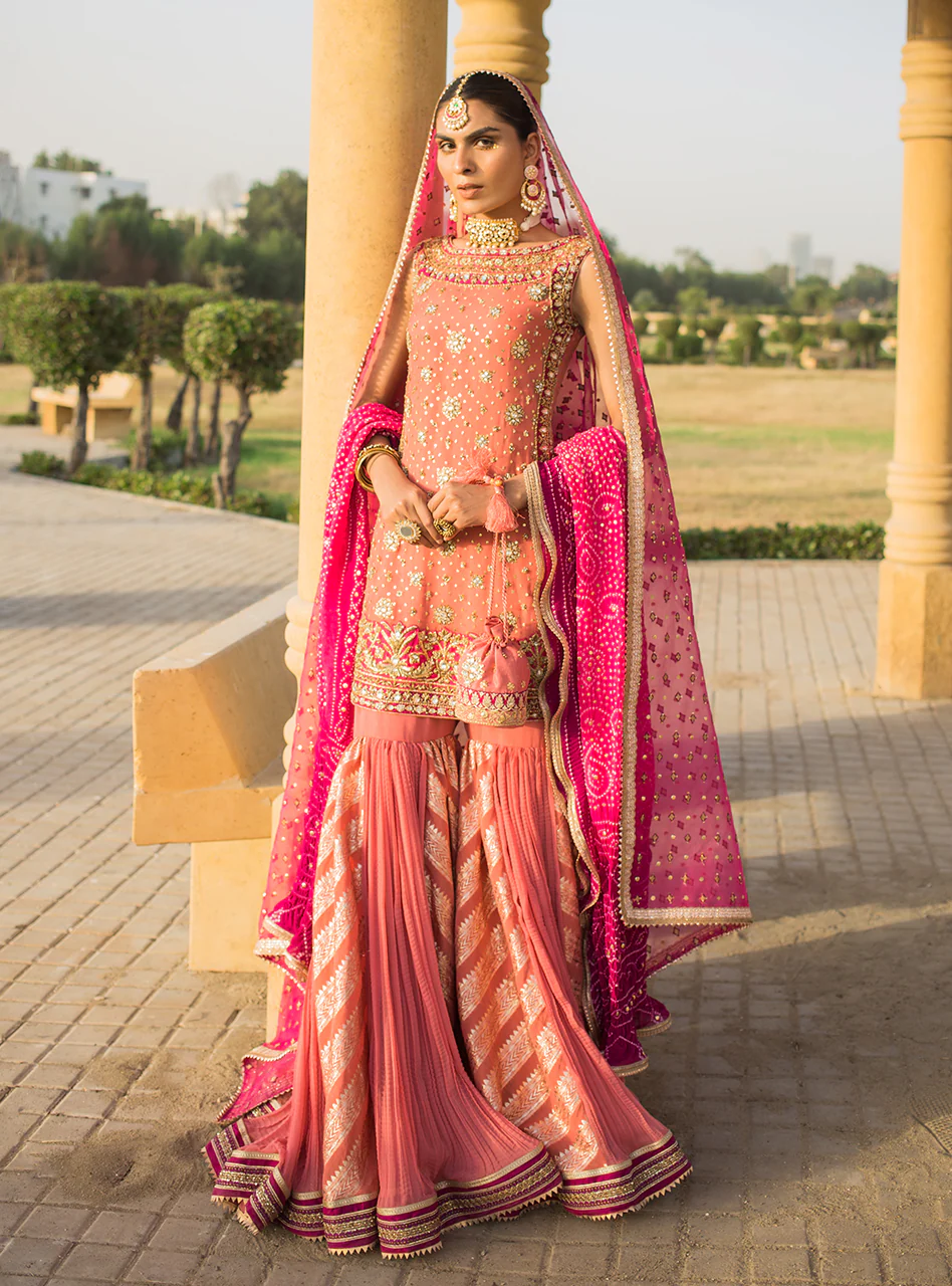 Roshni - Image 5