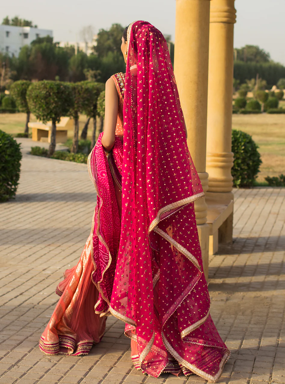 Roshni - Image 7