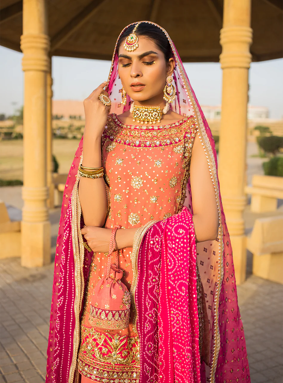 Roshni - Image 8