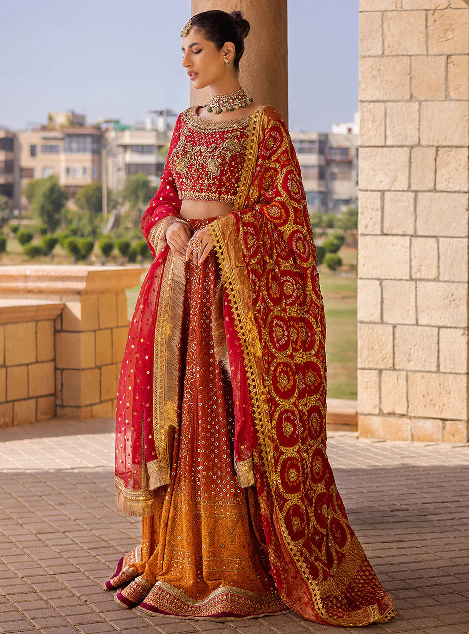 Surkhi - FO - Image 3