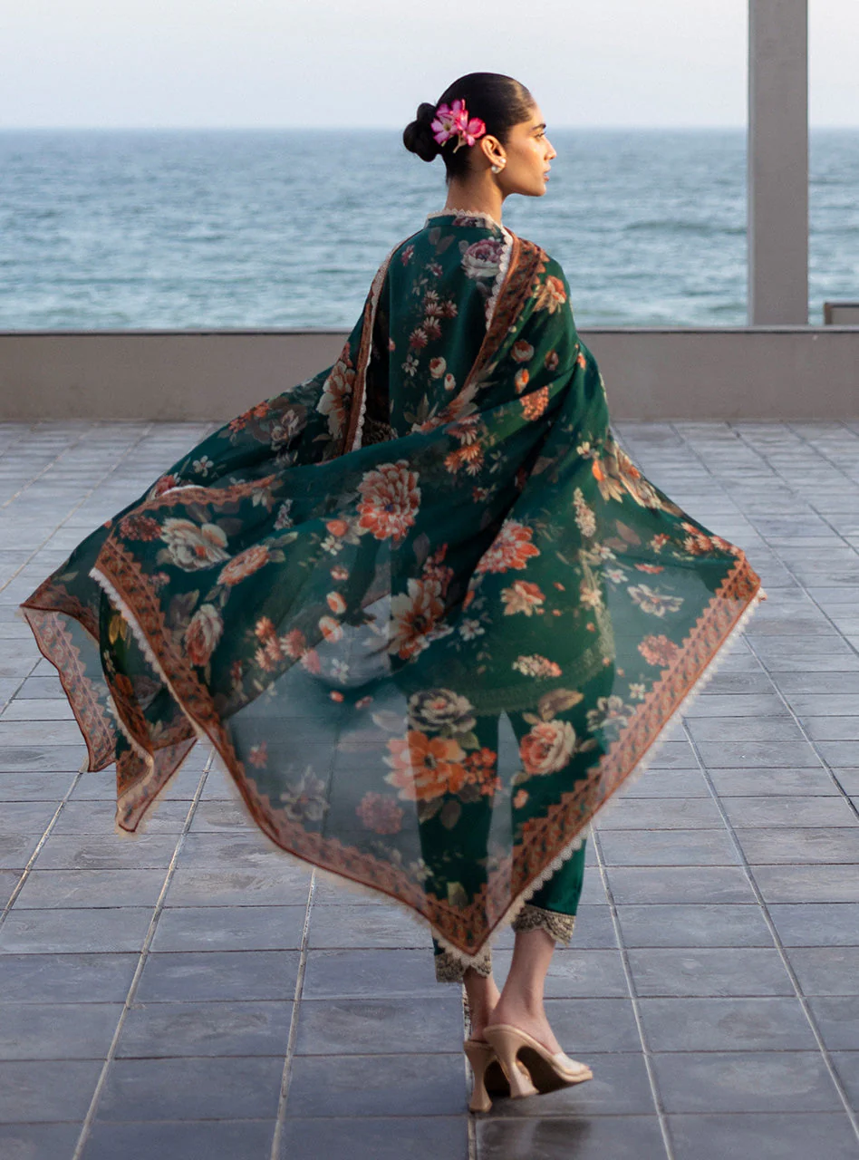 Velina - Image 3